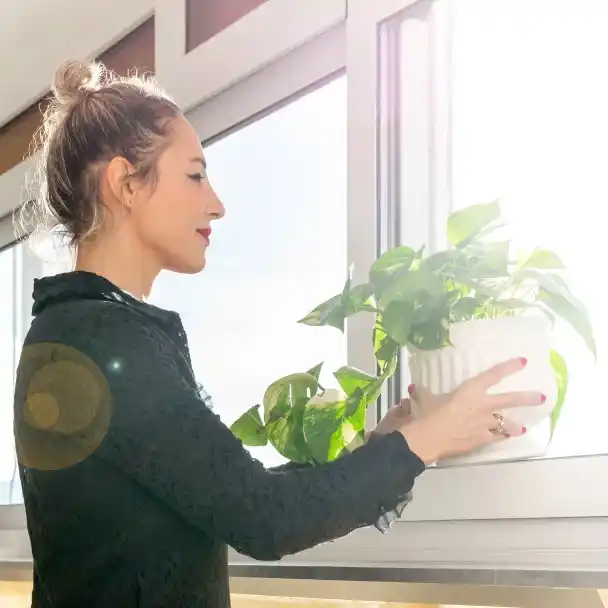 Plant selection