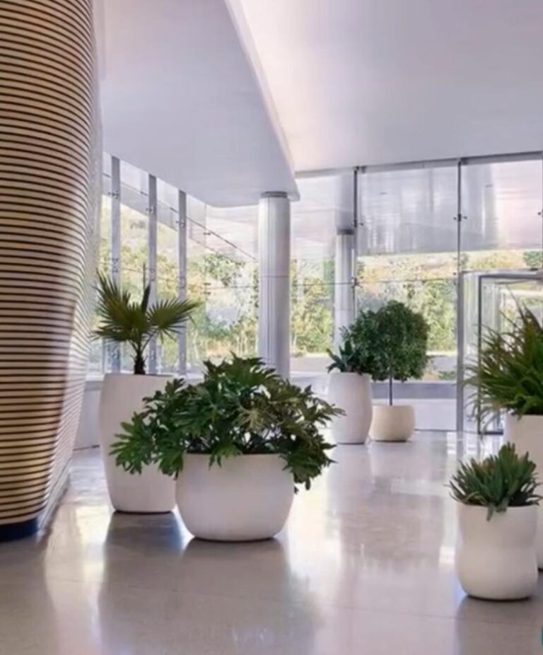 Interior design plants
