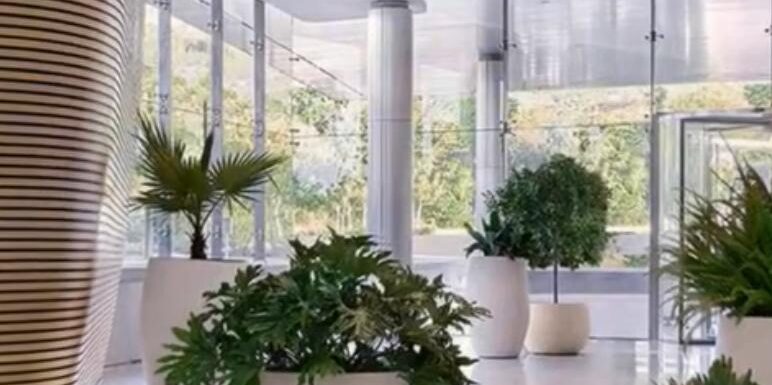 Interior design plants