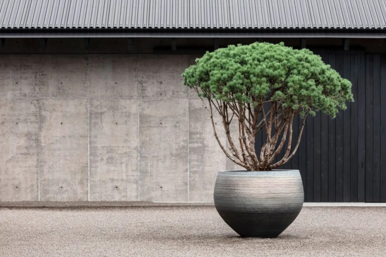 Exterior sober style 2
